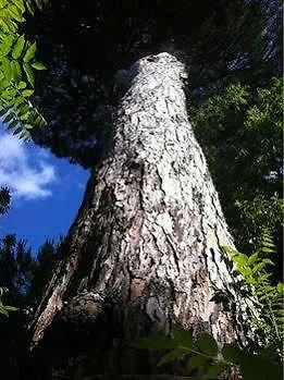 酒店 阿尔塔维拉侯爵花园酒店 特罗佩阿