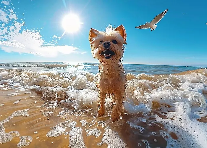 Calysea - Breakfast & Brunch Until 13-00 Included - Free Private Parking 3*